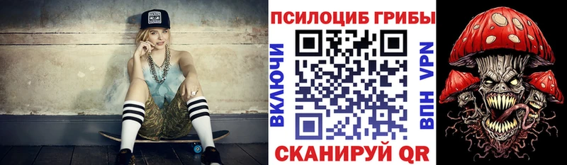 Псилоцибиновые грибы ЛСД  где можно купить наркотик  Тимашёвск 